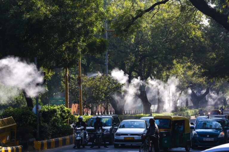 NDMC Mist Sprayer: NDMC की ‘विकसित भारत@2047’ के तहत बड़ी हरित पहल: शांतिपथ और अफ्रीका एवेन्यू पर मिस्ट स्प्रेयर सिस्टम होगा स्थापित
