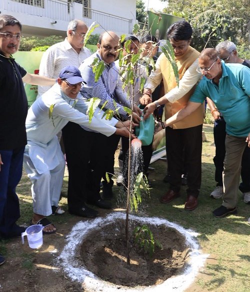 Tree Plantation Campaign NDMC on womens day