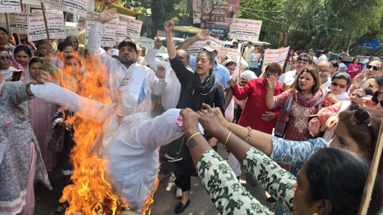 Women Congress Protest: अलका लांबा के नेतृत्व में विधानसभा घेराव, मोदी सरकार के खिलाफ जोरदार प्रदर्शन और पुतला दहन