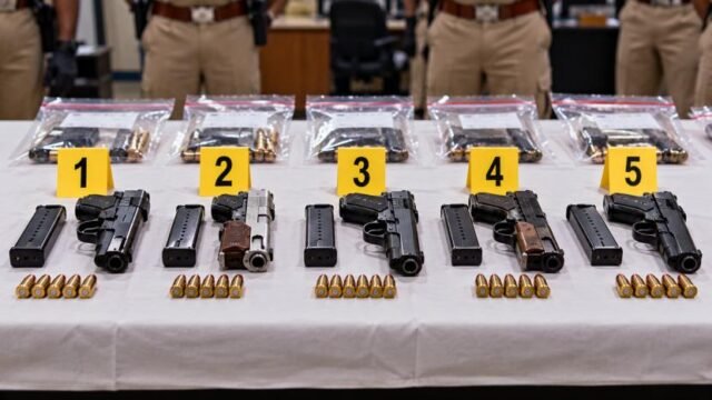 Delhi Police, Operation Shuddh Prahar, North East Delhi Crime, Police Crackdown, Crime Arrests